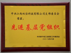2017先进基层党组织