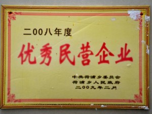 2008年度优秀民营企业