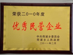 2010年度优秀民营企业
