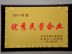 2011年度优秀民营企业