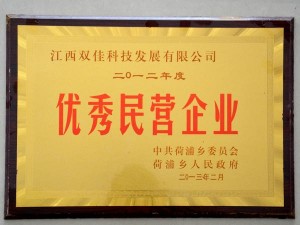 2012年度优秀民营企业