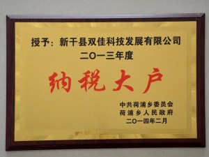 2013年度纳税大户